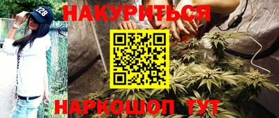 молекула духа Будённовск