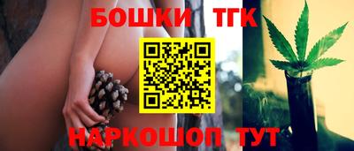 молекула духа Будённовск