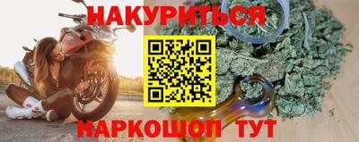 молекула духа Будённовск